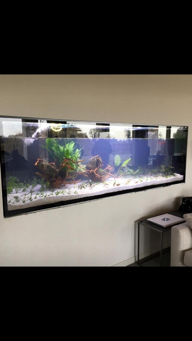 Acquario su misura realizzato da Ocean Acquario