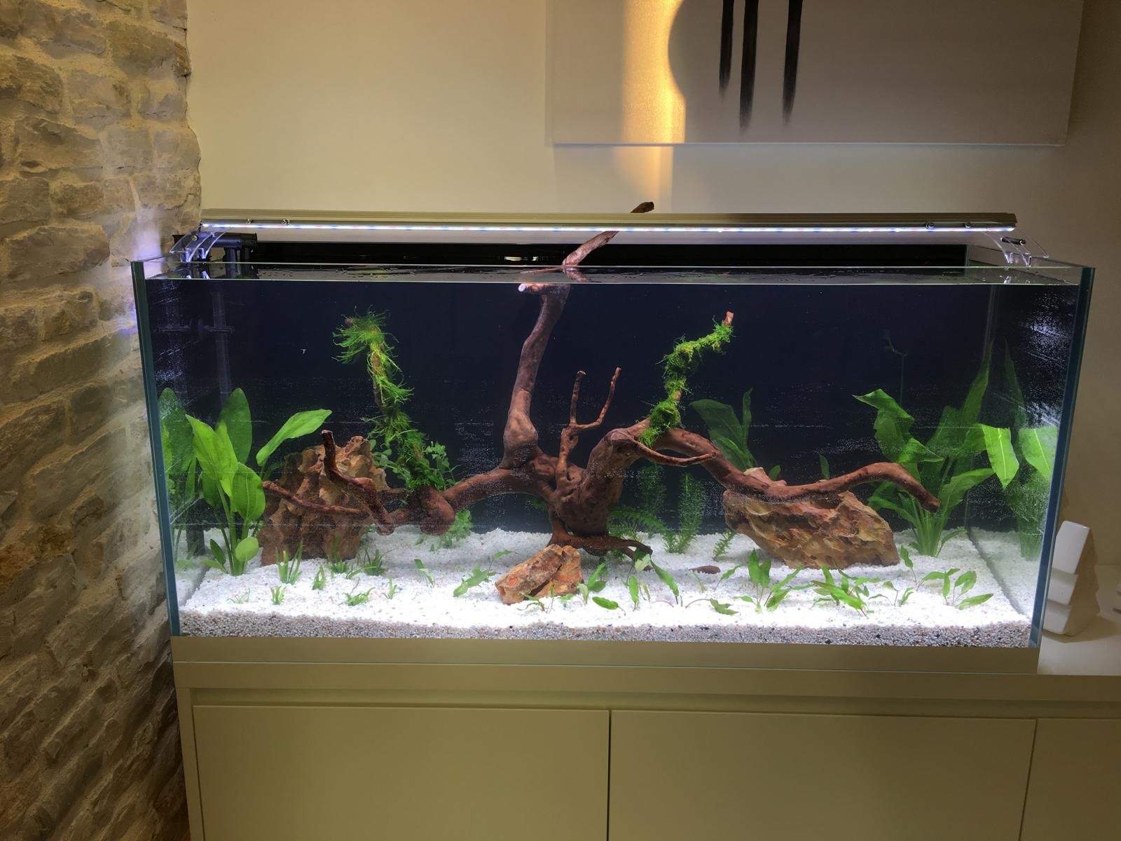 Acquario su misura realizzato da Ocean Acquario