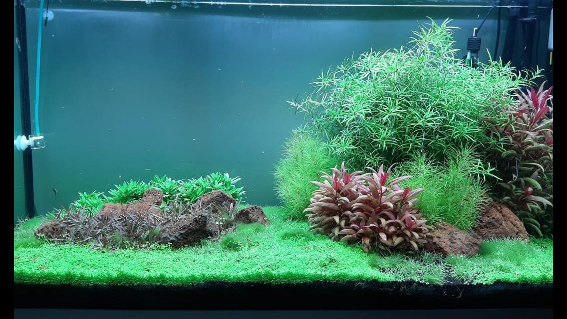 Acquario su misura realizzato da Ocean Acquario