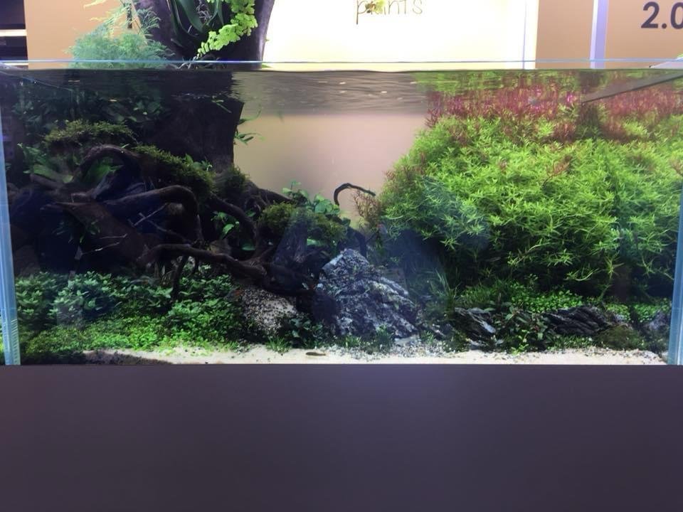 Acquario su misura realizzato da Ocean Acquario
