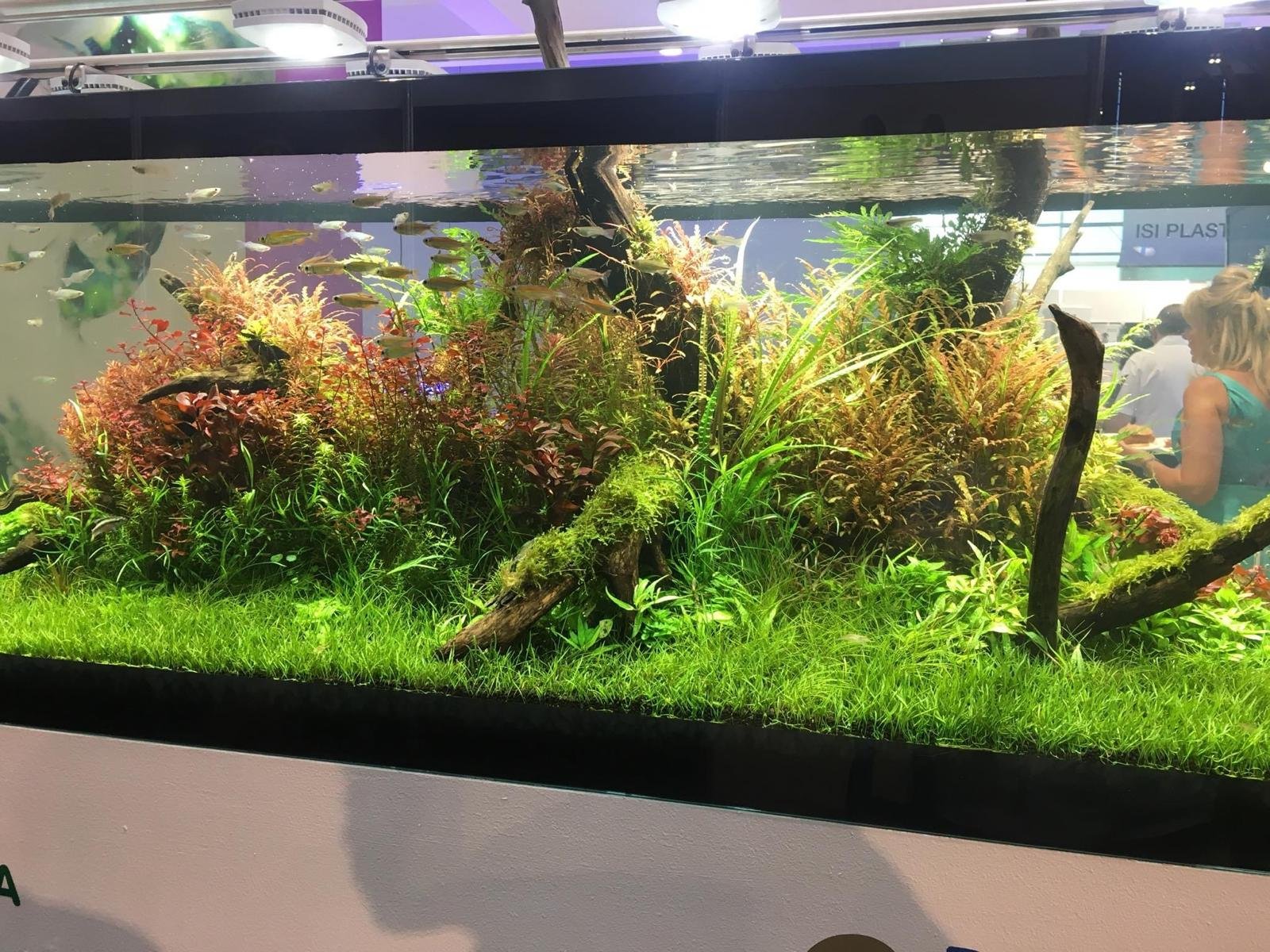 Acquario su misura realizzato da Ocean Acquario
