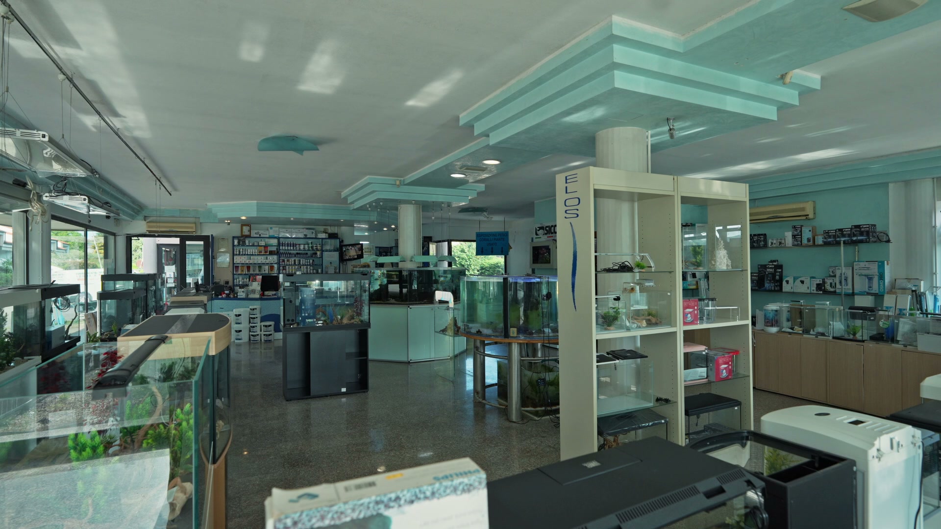 Acquario su misura con pesci tropicali nello showroom Ocean Acquario a Preganziol